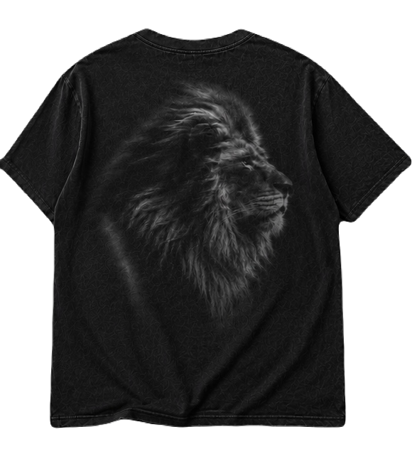 03 soft Tshirt