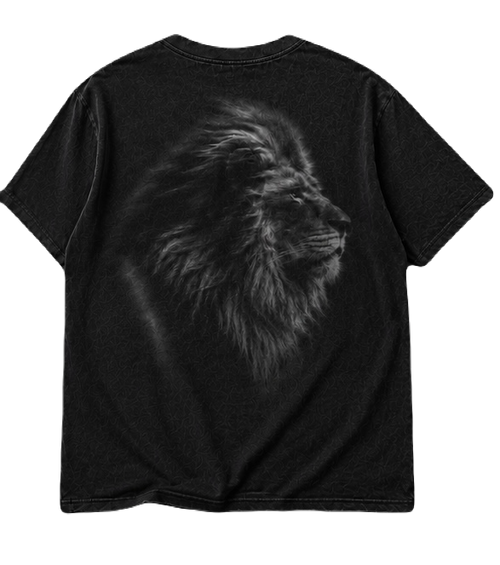 03 soft Tshirt